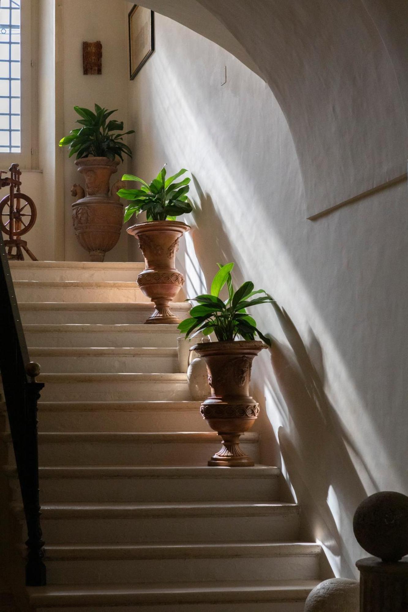 Villa Fenicia Ruvo di Puglia Ngoại thất bức ảnh